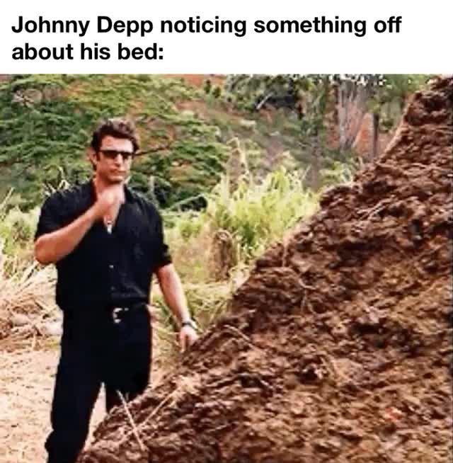 funny memes - dank memes jeff goldblum gif jurassic park - Johnny Depp noticing something off about his bed