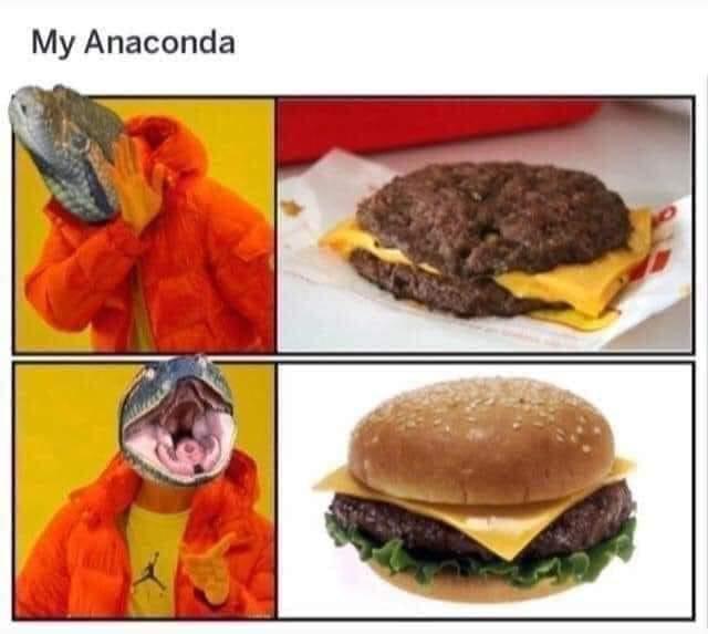 funny memes - dank memes - anaconda memes - My Anaconda