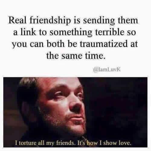 funny memes - dank memes - real friend memes - Real friendship is sending them a link to something terrible so you can both be traumatized at the same time. I torture all my friends. It's how I show love.