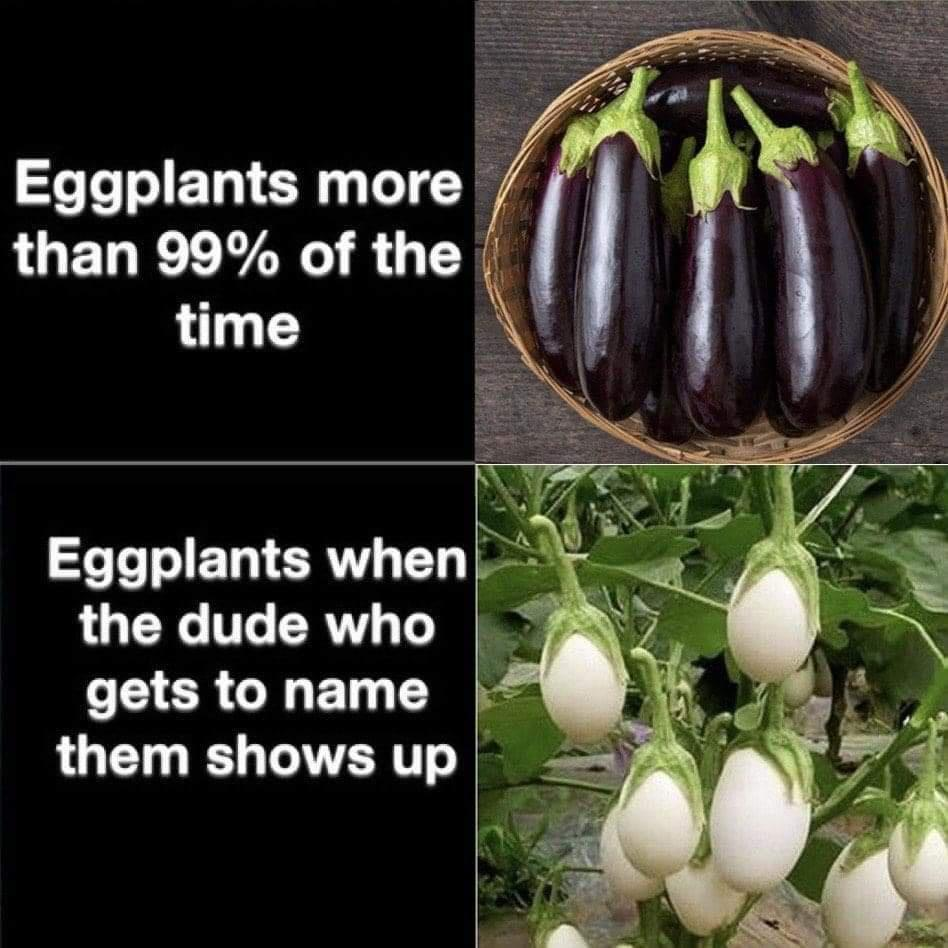 funny memes - dank memes - white baingan - Eggplants more than 99% of the time Eggplants when the dude who gets to name them shows up