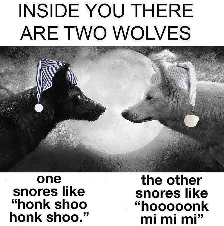 monday morning randomness - inside you there are two wolves cement - Inside You There Are Two Wolves one snores "honk shoo the other snores "hooooonk mi mi mi" honk shoo."