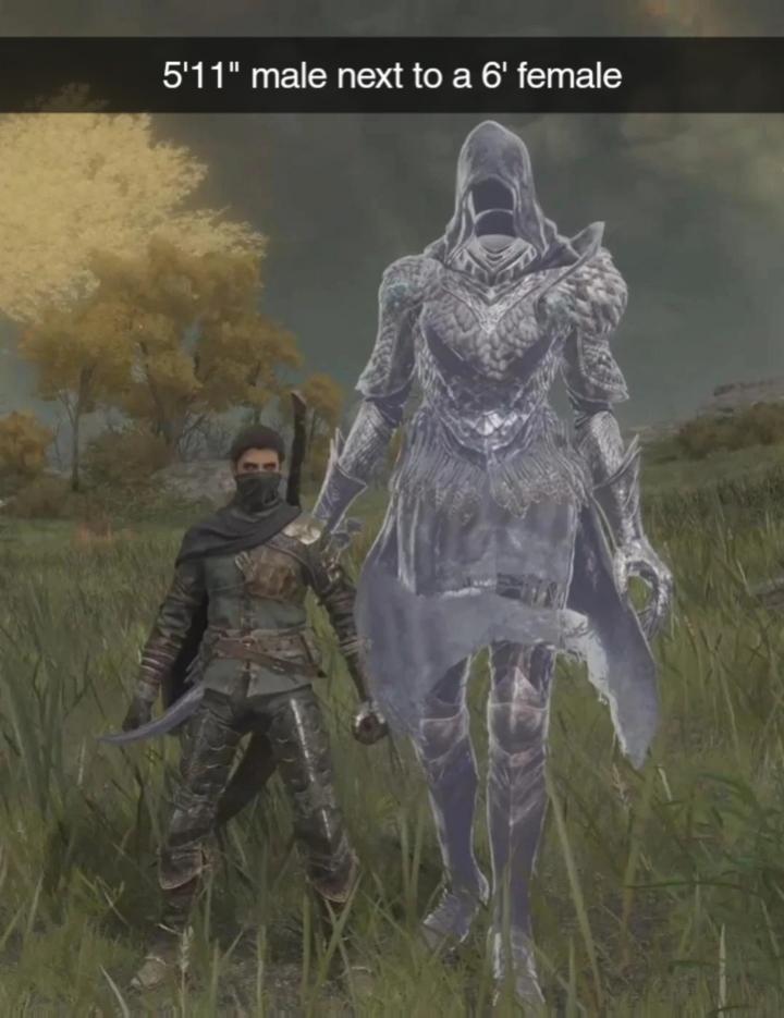 gaming memes - armour - 5'11" male next to a 6' female Sher