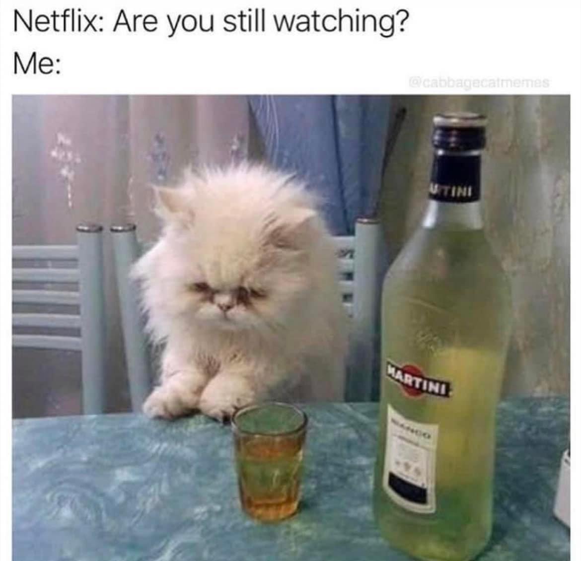 funny memes --  Netflix Are you still watching? Me Utini Martini