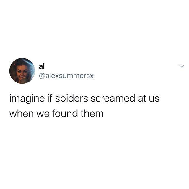 funny memes - she said she liked nct so - al imagine if spiders screamed at us when we found them