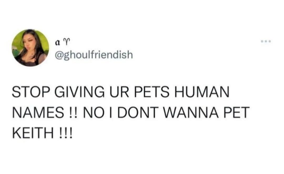 funny memes - Text - ar Stop Giving Ur Pets Human Names !! No I Dont Wanna Pet Keith !!!