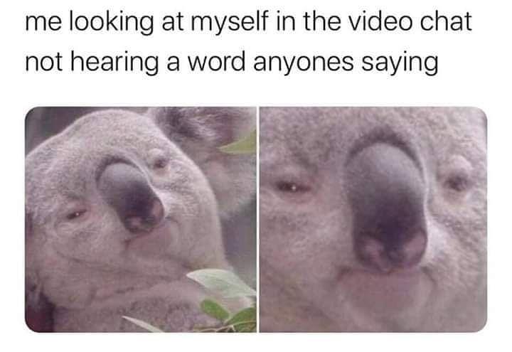 funny memes - zoom memes - me looking at myself in the video chat not hearing a word anyones saying