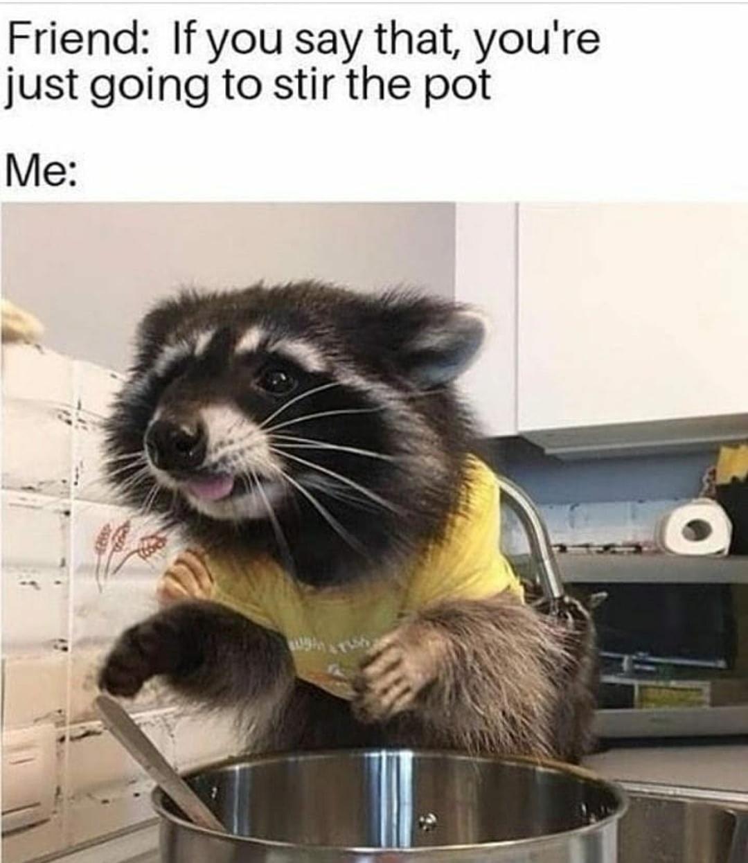 funny memes - raccoon chef gif - Friend If you say that, you're just going to stir the pot Me