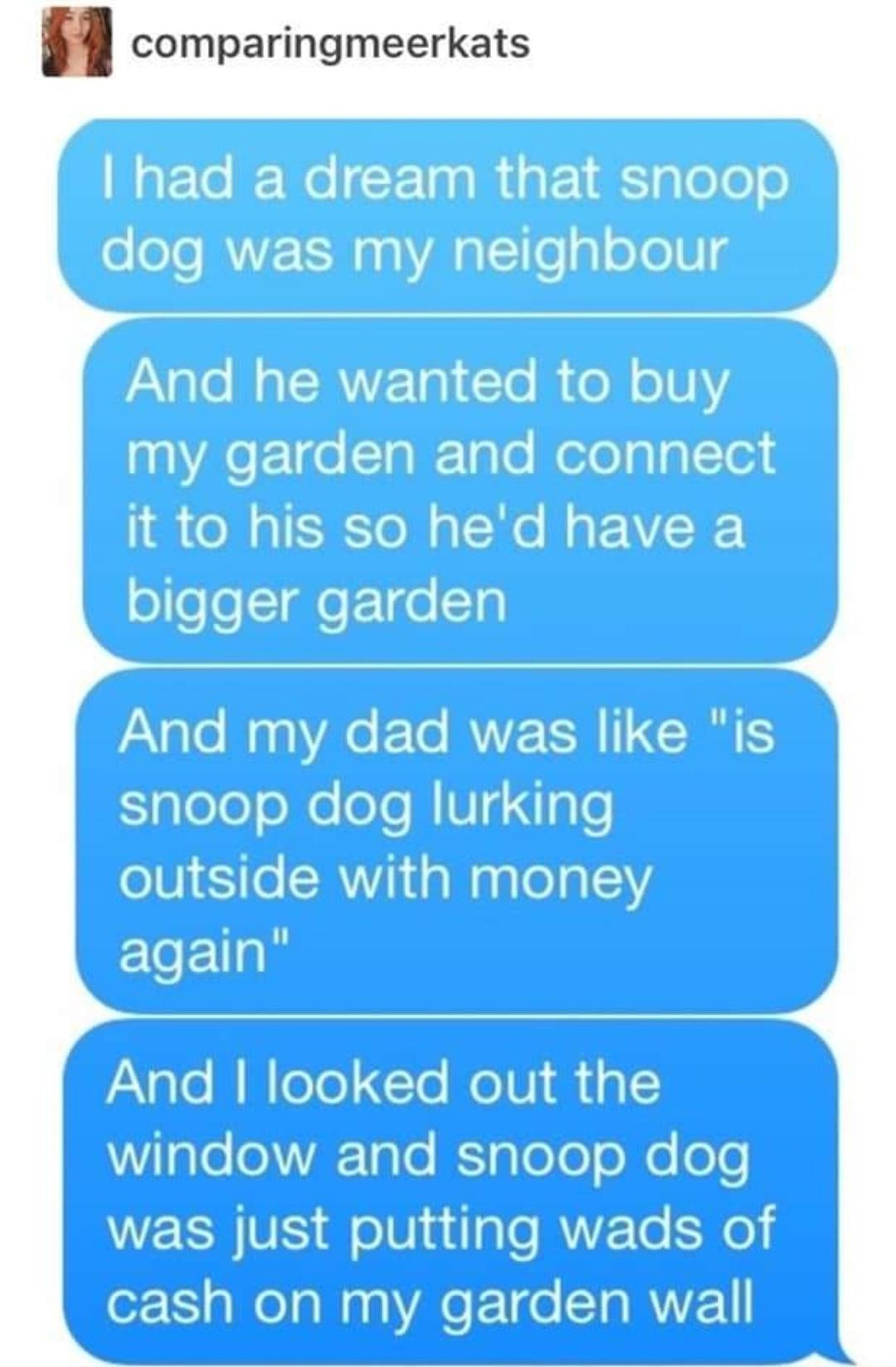 funny memes - number - comparingmeerkats I had a dream that snoop dog was my neighbour And he wanted to buy my garden and connect it to his so he'd have a bigger garden And my dad was "is snoop dog lurking outside with money again" And I looked out the wi