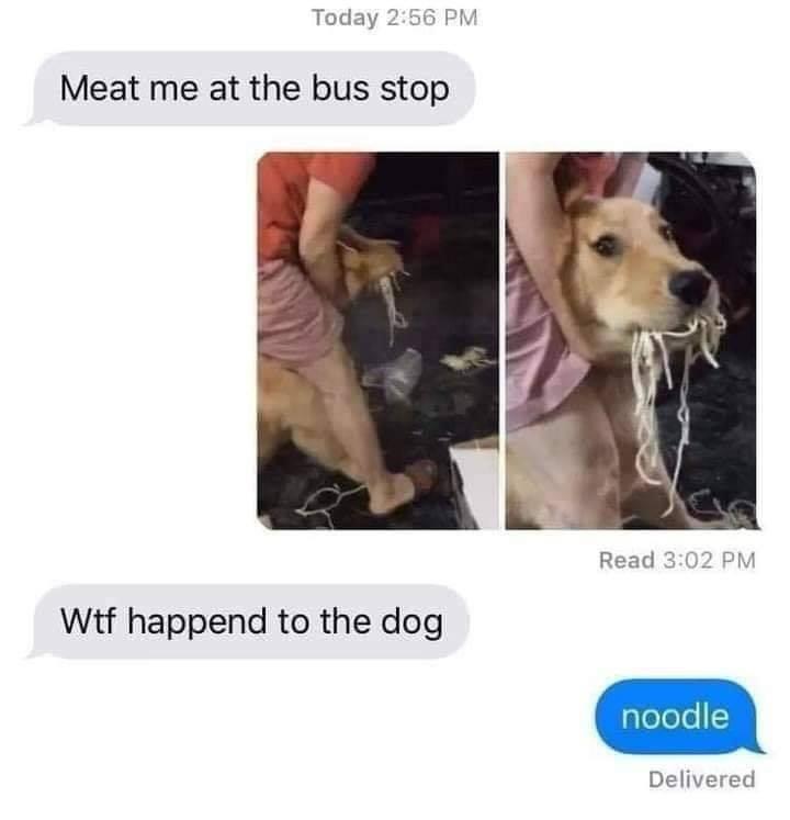 funny memes - meat me at the bus stop - Today Meat me at the bus stop Read Wtf happend to the dog noodle Delivered