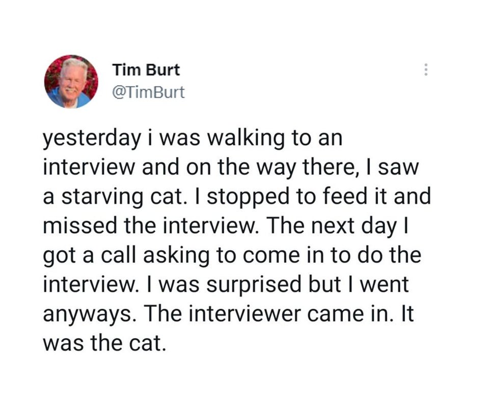 Funny Tweets - point - Tim Burt yesterday i was walking to an interview and on the way there, I saw a starving cat. I stopped to feed it and missed the interview. The next day | got a call asking to come in to do the interview. I was surprised but I went