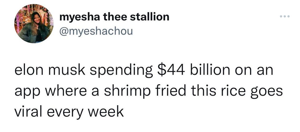 Funny Tweets - not me tho yall stay safe work - myesha thee stallion elon musk spending $44 billion on an app where a shrimp fried this rice goes viral every week