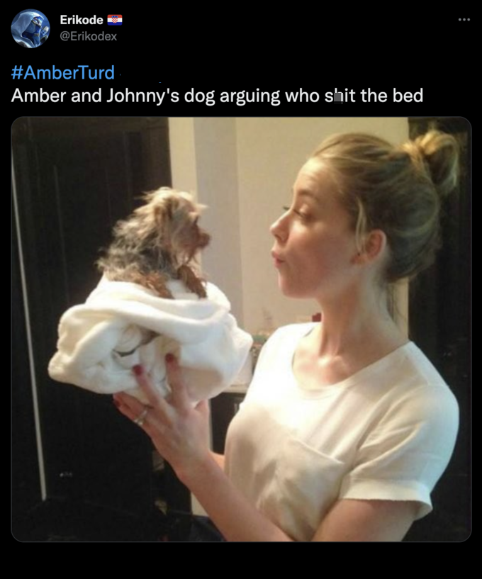 Funny Tweets - amber heard poop