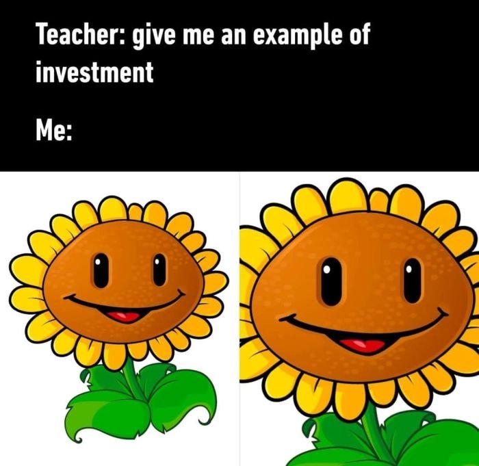 gaming memes - happy sunflower clipart - Teacher give me an example of investment Me 3