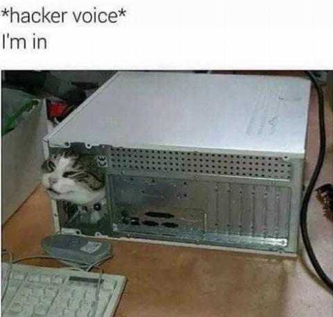gaming memes - hacker voice i m - hacker voice I'm in