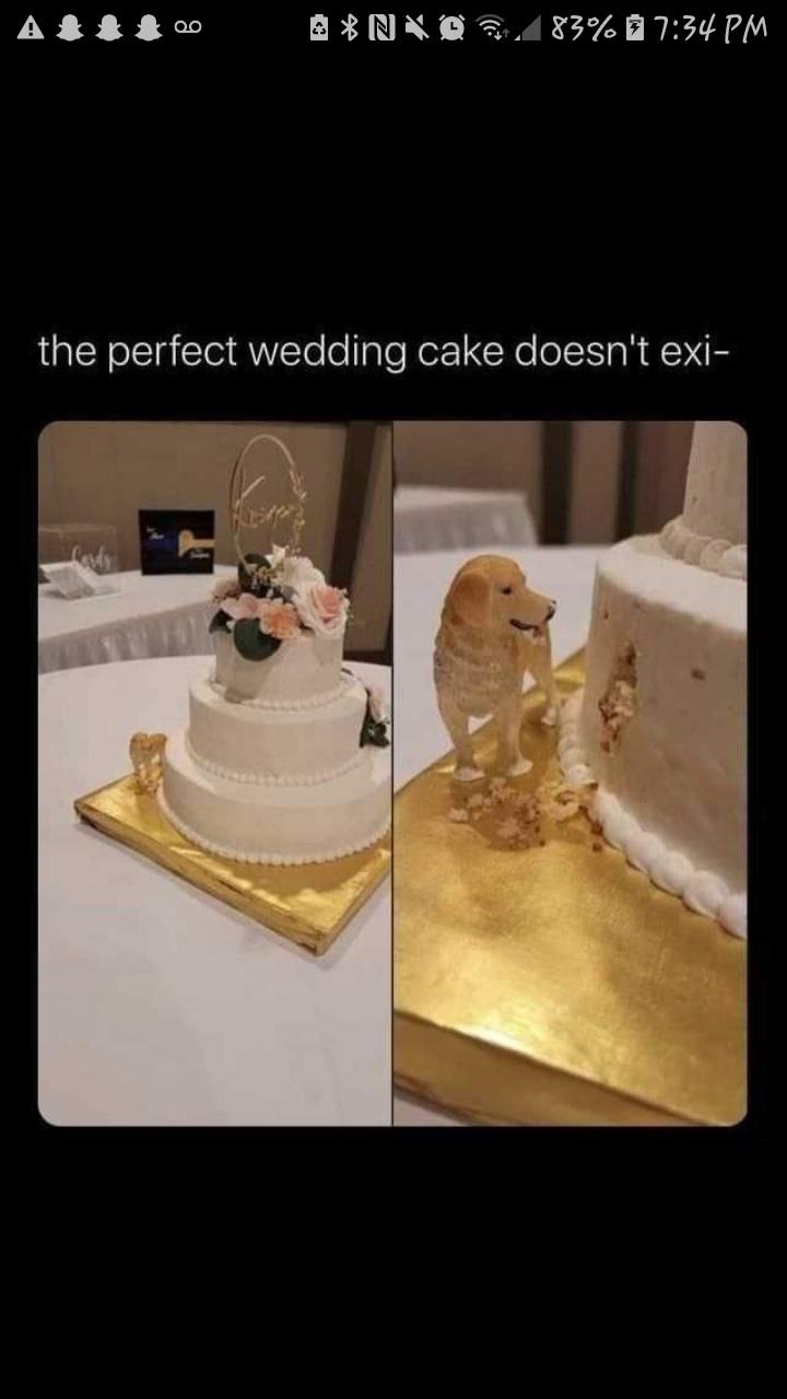 Funny Tweets - the perfect wedding cake doesn't exi