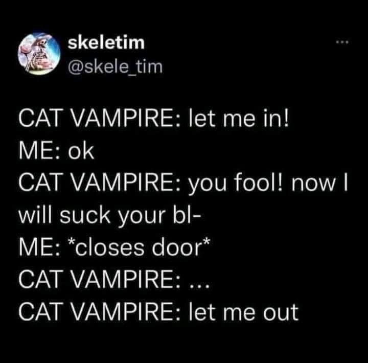 Funny Tweets - Me ok Cat Vampire you fool! now | will suck your