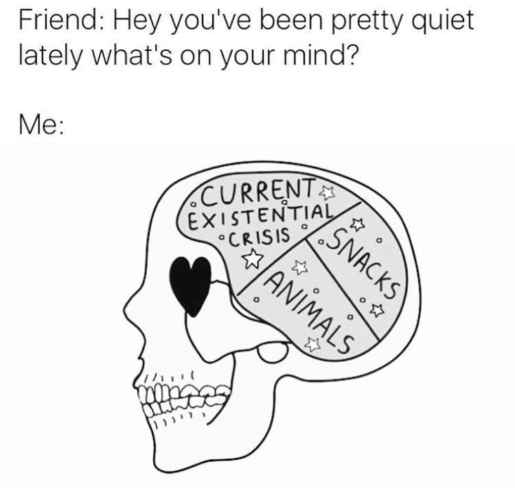 funny memes - dank memes - human behavior - Friend Hey you've been pretty quiet lately what's on your mind? Me Current Existential Crisis Snacks Animals 1