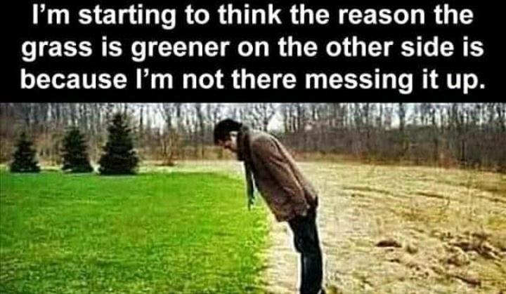 funny memes - dank memes - maybe the grass is greener on the other side because - I'm starting to think the reason the grass is greener on the other side is because I'm not there messing it up.