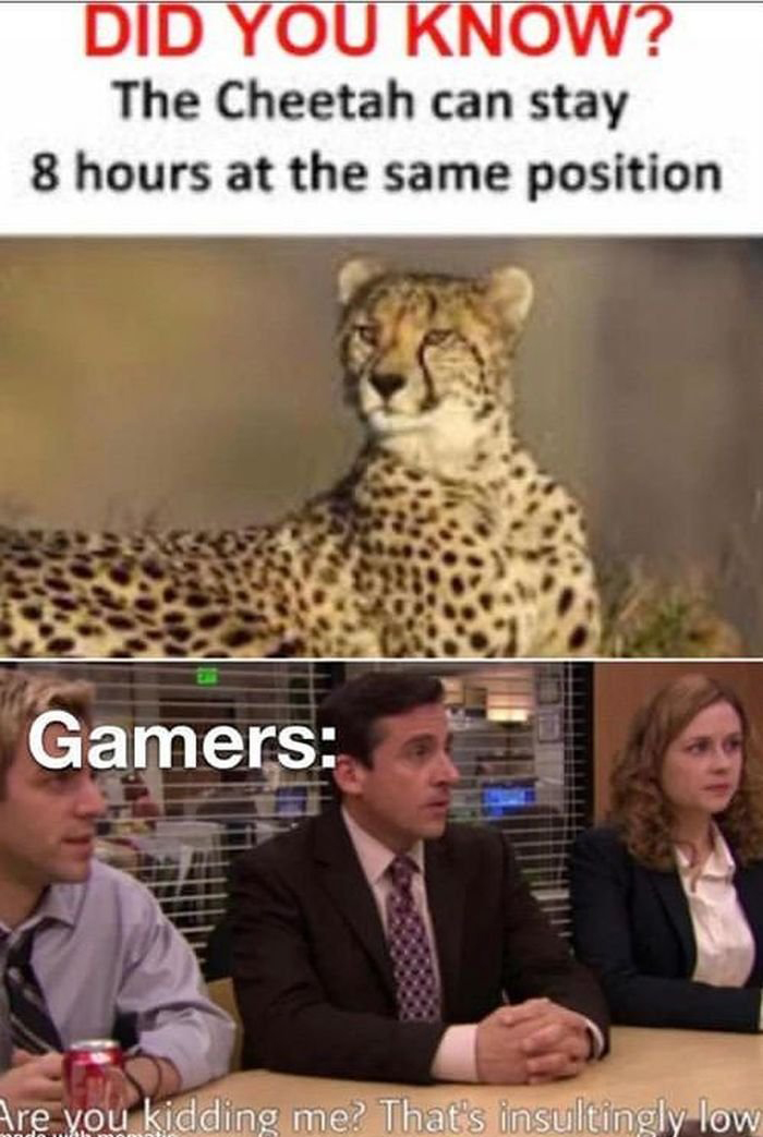 gaming memes - that's insultingly low meme - Did You Know? The Cheetah can stay 8 hours at the same position Gamers Are you kidding me? That's insultingly low