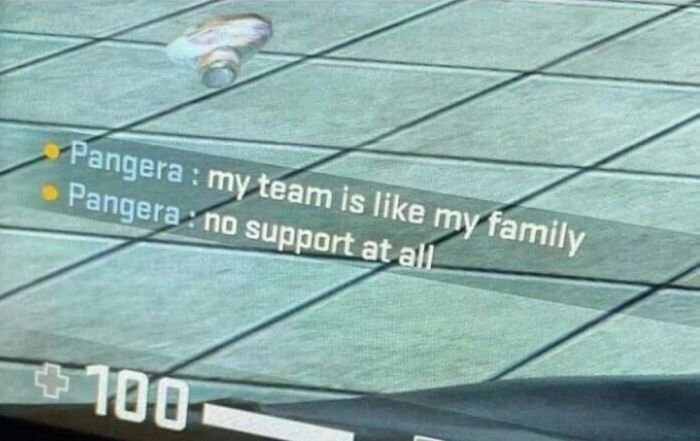 gaming memes - my team is like my family no support at all - Pangera my team is my family Pangera no support at all 100