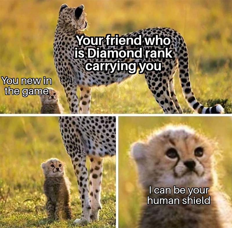 gaming memes - cutest cheetah cub - Your friend who is Diamond rank carrying you You new in the game I can be your human shield