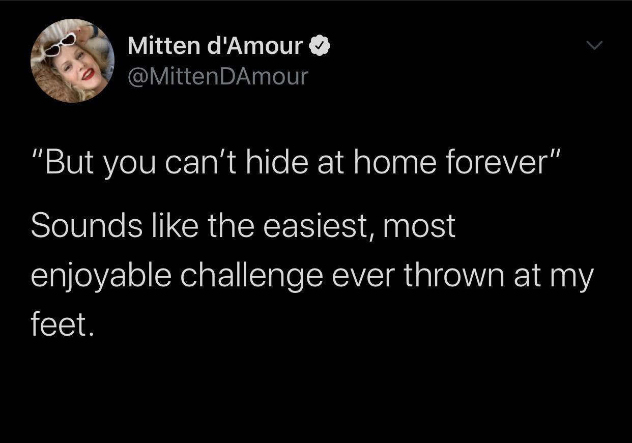 dank memes - Less Than Zero - Mitten d'Amour "But you can't hide at home forever" Sounds the easiest, most enjoyable challenge ever thrown at my feet.