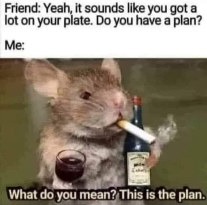 dank memes - rat test memes - Friend Yeah, it sounds you got a lot on your plate. Do you have a plan? Me What do you mean? This is the plan.