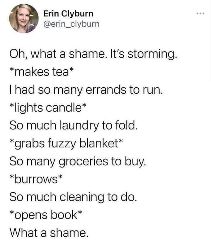 dank memes - document - Erin Clyburn Oh, what a shame. It's storming. makes tea I had so many errands to run. lights candle So much laundry to fold. grabs fuzzy blanket So many groceries to buy. burrows So much cleaning to do. opens book What a shame.
