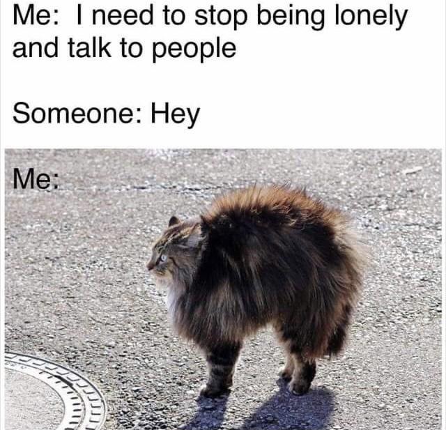 dank memes - need to stop being lonely and talk - Me I need to stop being lonely and talk to people Someone Hey Me