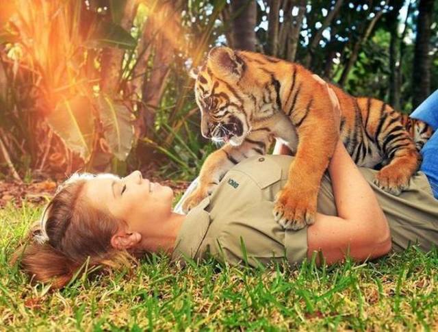 dank memes - bindi irwin baby tiger