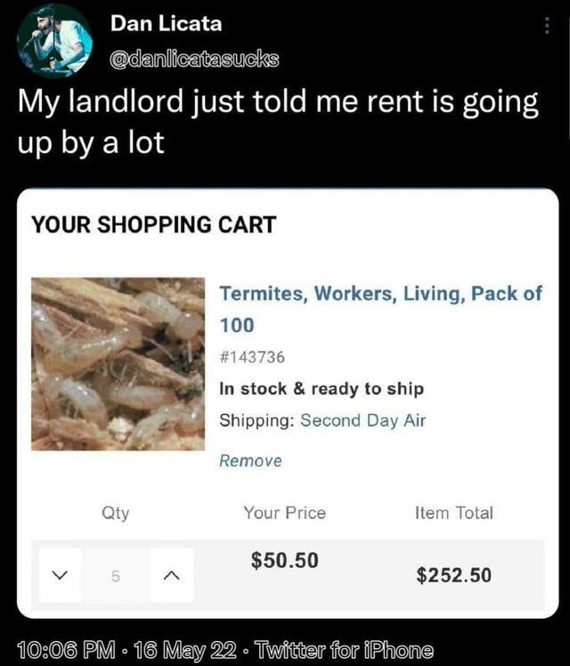 funny tweets --  Landlord - Dan Licata My landlord just told me rent is going up by a lot Your Shopping Cart Termites, Workers, Living, Pack of 100 In stock & ready to ship Shipping Second Day Air Remove Your Price $50.50 5 ^ 16 May 22 Twitter for iPhone 