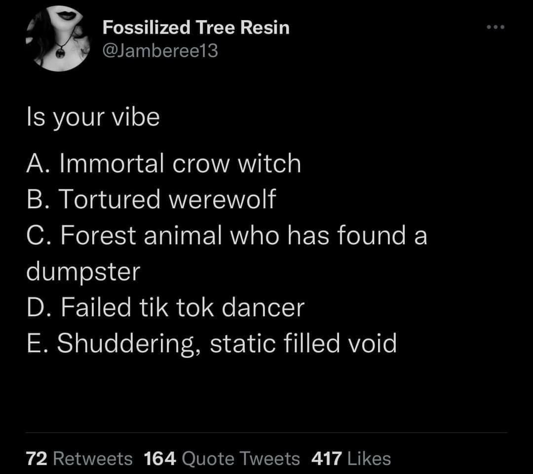 funny tweets - iFunny - Fossilized Tree Resin Is your vibe A. Immortal crow witch B. Tortured werewolf C. Forest animal who has found a dumpster D. Failed tik tok dancer E. Shuddering, static filled void 72 164 Quote Tweets 417