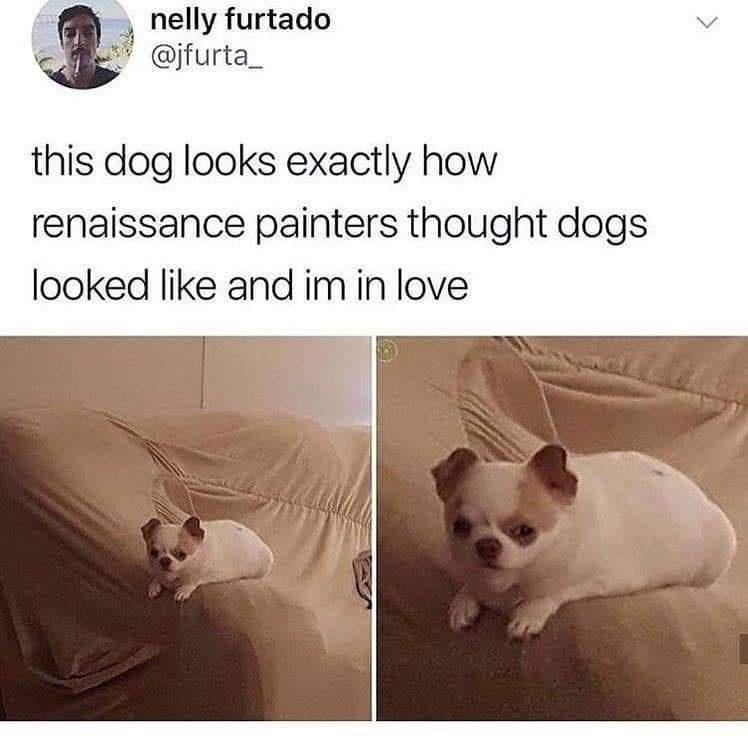 funny memes - dank memes - dog that looks like renaissance painting - nelly furtado this dog looks exactly how renaissance painters thought dogs looked and im in love