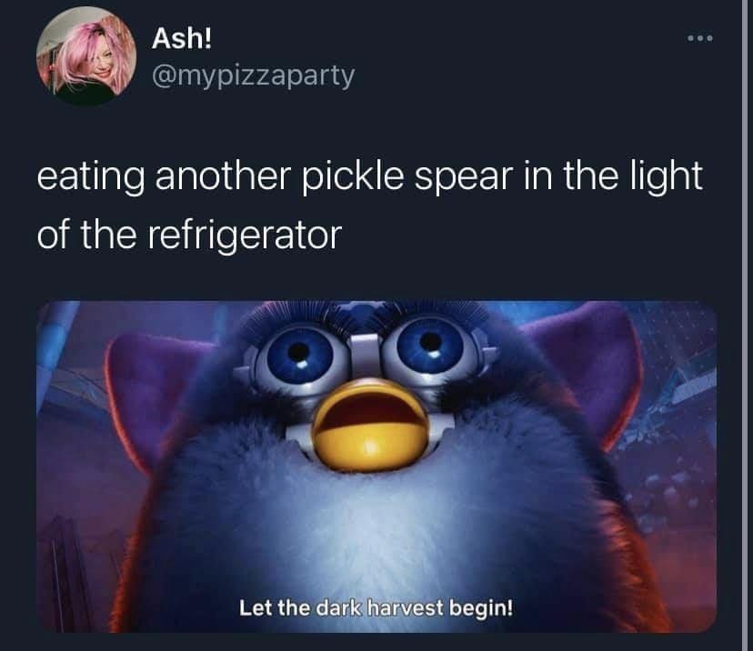 funny memes - dank memes - let the dark harvest begin furby - Ash! eating another pickle spear in the light of the refrigerator Ic Let the dark harvest begin!