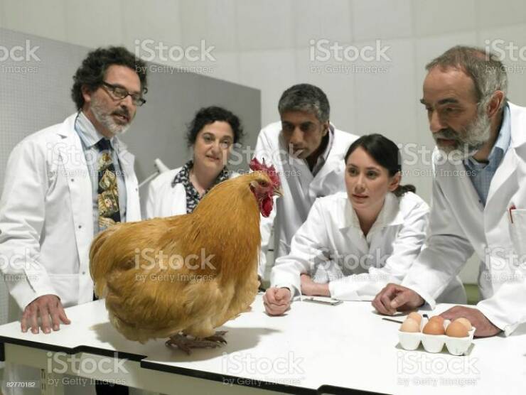 wtf stock photos - bad stock photos of my job science - ock images by alle ges iStock 20770182 by Getty Images iStock by Geffy Timages. iStock by Getty Images iStock en Getty Images Stock by Getty Meere iStock by Getty Images Stock Stock by Gelly Images i
