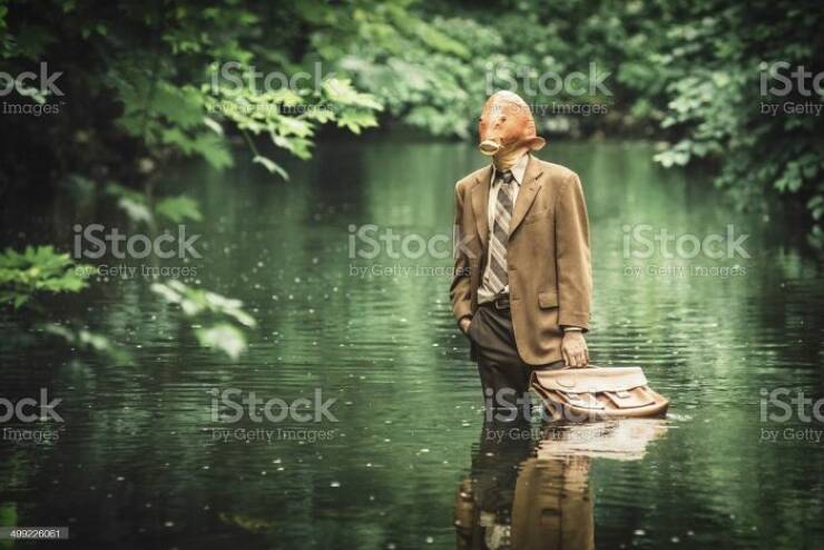 wtf stock photos - river pictorial men - ock Images ock Images 499226061 Stock Nowed By moge iStock on Getty Images iStock by Getty Images iStock by Getty Images Stock baty Images Piste by Gelly G iStock Oy Getty Images iSto by Getty iSto by Getty