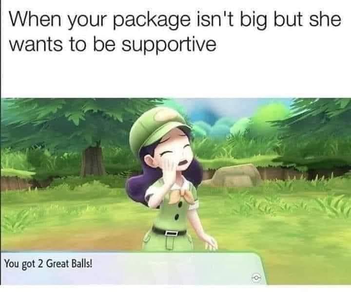 gaming memes - pokemon you got 2 great balls - When your package isn't big but she wants to be supportive You got 2 Great Balls!