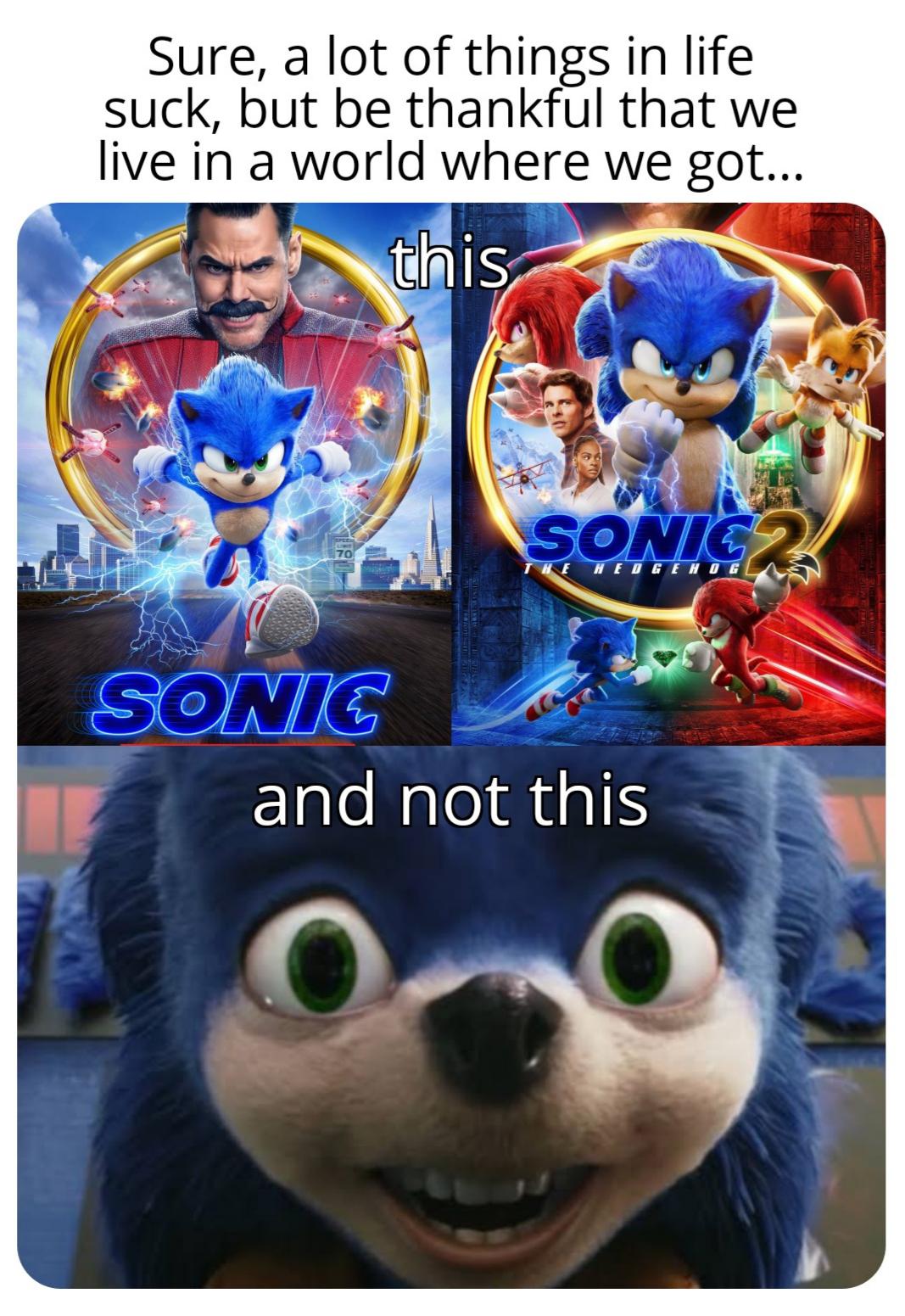 gaming memes - photo caption - Sure, a lot of things in life suck, but be thankful that we live in a world where we got... this SONIC2 The Hedgehogl Sonic and not this