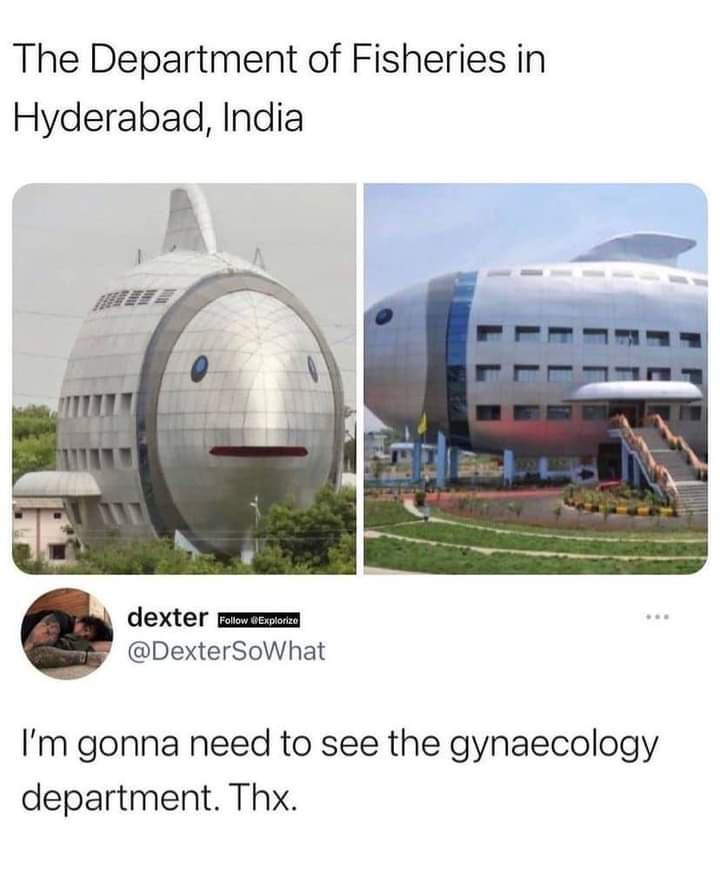 dank memes - jammulamma temple. - The Department of Fisheries in Hyderabad, India 0 dexter I'm gonna need to see the gynaecology department. Thx.