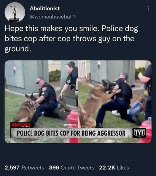 Hot Tweets - Police dog bites cop after cop throws guy on the ground. Indisputable Unepresity, Police Dog Bites Cop For Being Aggressor