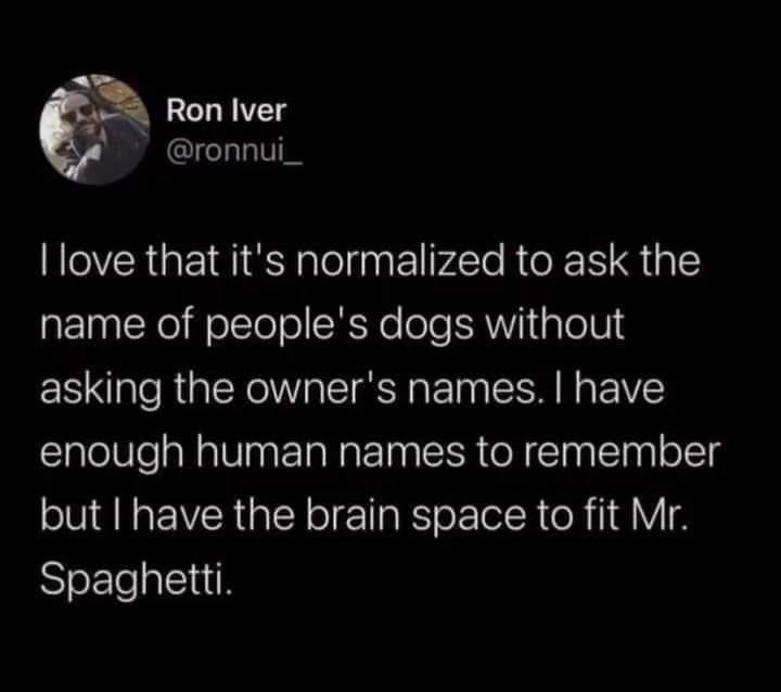 Hot Tweets - I love that it's normalized to ask the name of people's dogs without asking the owner's names. I have enough human names to remember but I have the brain space to fit Mr. Spaghetti.