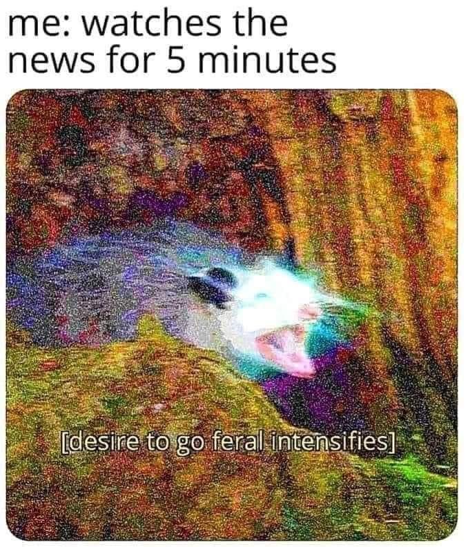 funny memes - dank memes - painting - me watches the news for 5 minutes desire to go feral intensifies