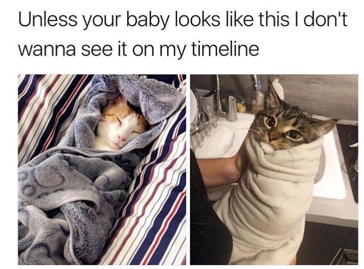 funny memes - dank memes - unless your baby looks like - Unless your baby looks this I don't wanna see it on my timeline