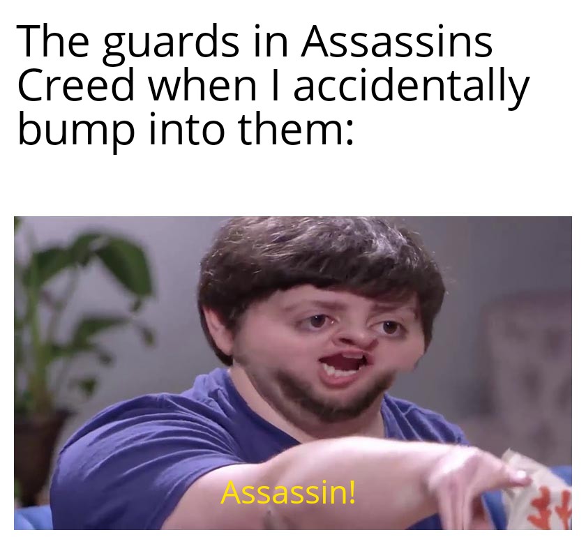 gaming dank memes - r antimeme - The guards in Assassins Creed when I accidentally bump into them Assassin!