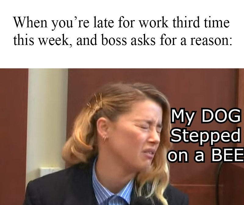 dank memes - amber heard my dog stepped on a bee - When you're late for work third time this week, and boss asks for a reason My Dog Stepped on a Bee