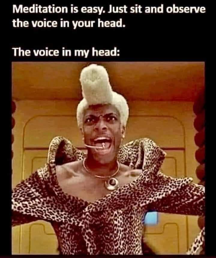 dank memes - chris tucker fifth element - Meditation is easy. Just sit and observe the voice in your head. The voice in my head