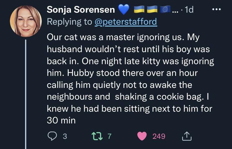funny tweets - Sonja Sorensen ....1d Our cat was a master ignoring us. My husband wouldn't rest until his boy was back in. One night late kitty was ignoring him. Hubby stood there over an hour calling him quietly not to awake the neighbours and shaking a 