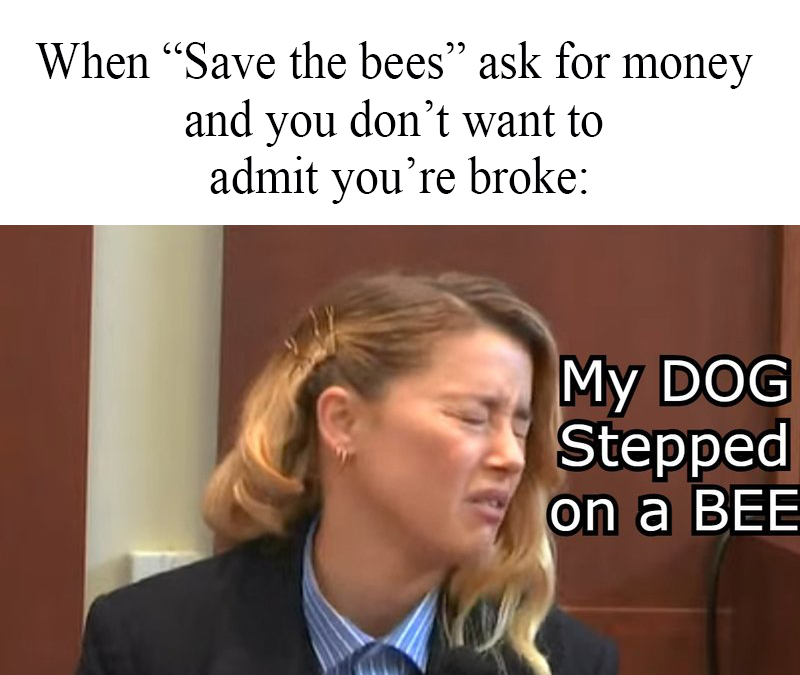 dank memes - amber heard my dog stepped on a bee - When "Save the bees" ask for money and you don't want to admit you're broke My Dog Stepped on a Bee