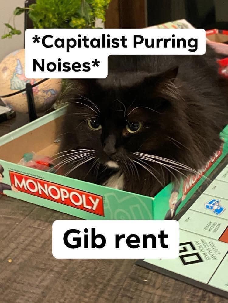 monday morning randomness - gib rent cat - Capitalist Purring Noises Monopoly Gib rent 50 As You Pa Med Salary Wene Sieny all