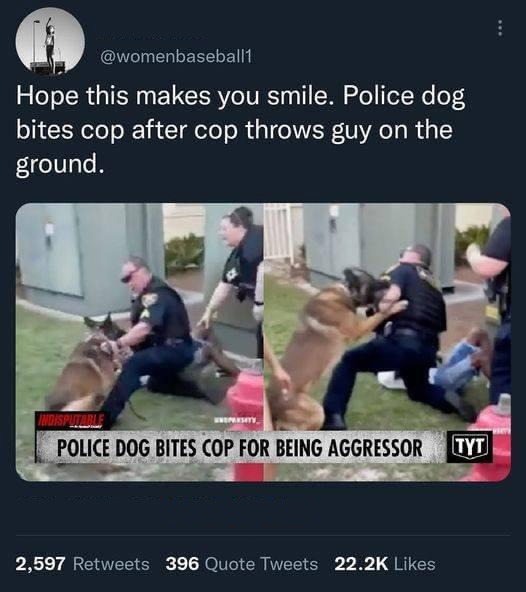 monday morning randomness - dog bites cop - Hope this makes you smile. Police dog bites cop after cop throws guy on the ground. Indisputable Unepresity, Police Dog Bites Cop For Being Aggressor Tyt 2,597 396 Quote Tweets